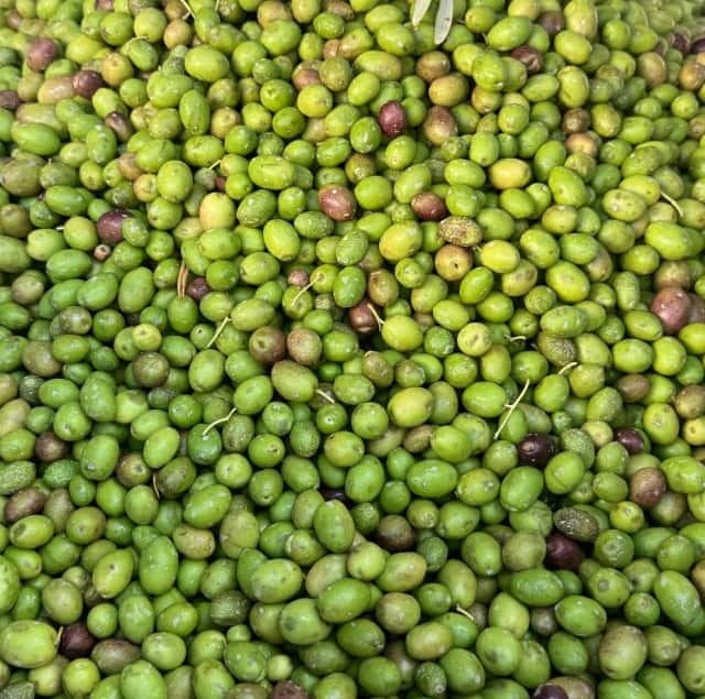 10 Things to Know About Extra Virgin Olive Oil